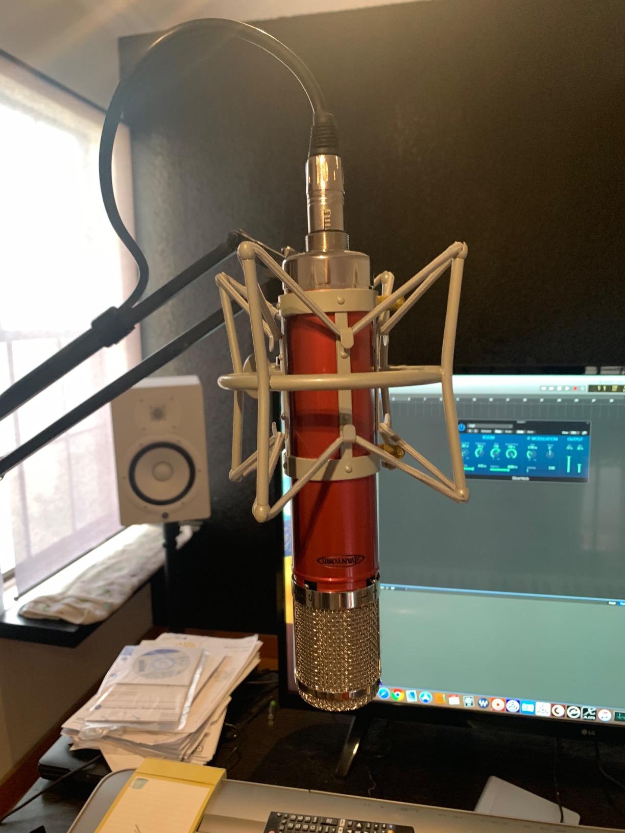 Avantone CV-12 Multi-Pattern Large Capsule Tube Condenser Microphone customer photo 1