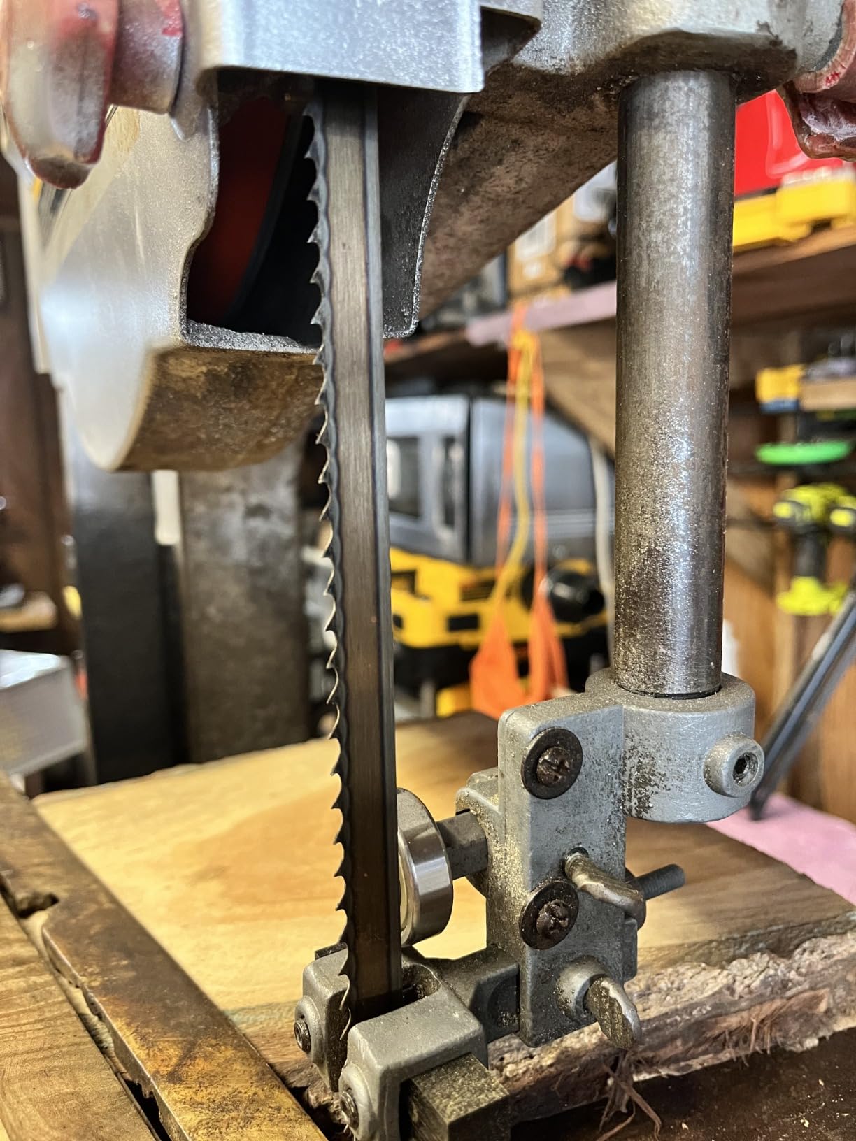 Timber Wolf Bandsaw Blade 1/2