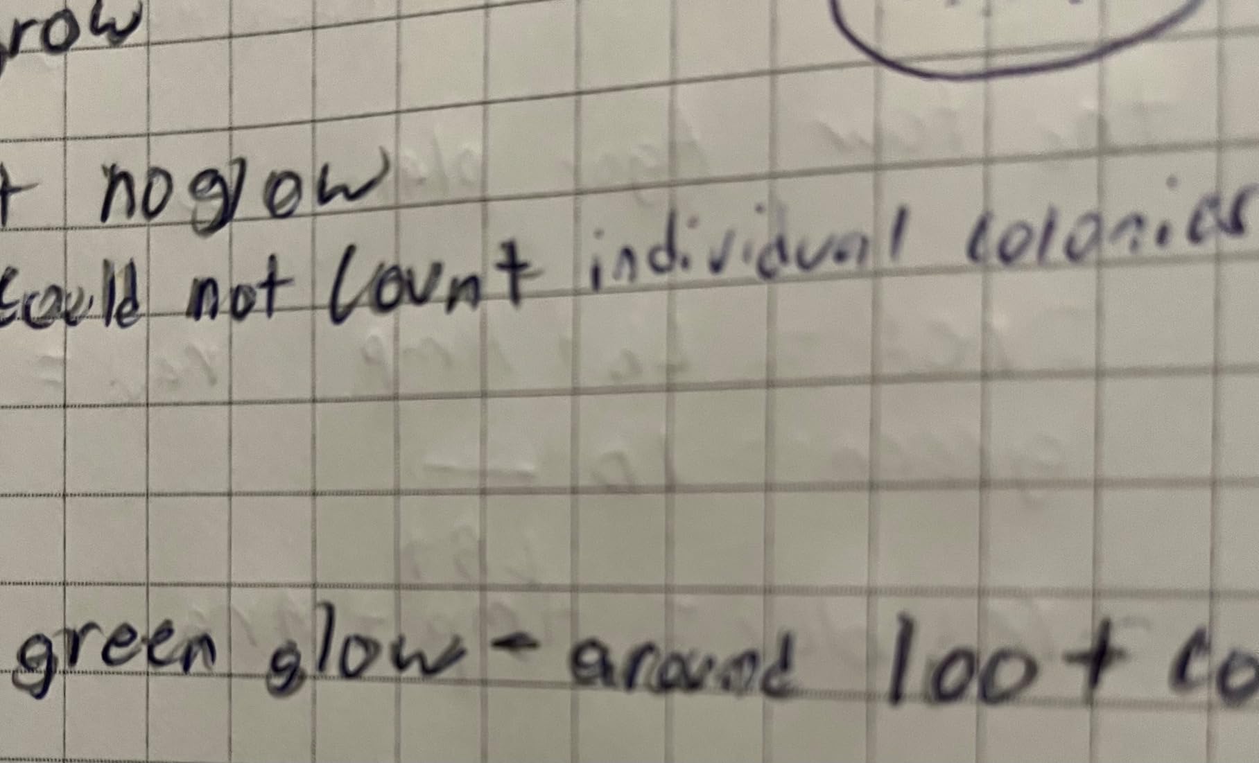 BookFactory Lab Notebook Laboratory Notebook - 96 Pages (.25'' Grid Format) 8 7/8'' x 11 1/4'', Blue Cover, Section Sewn Hardbound - Made in USA (Made in USA) customer photo 1