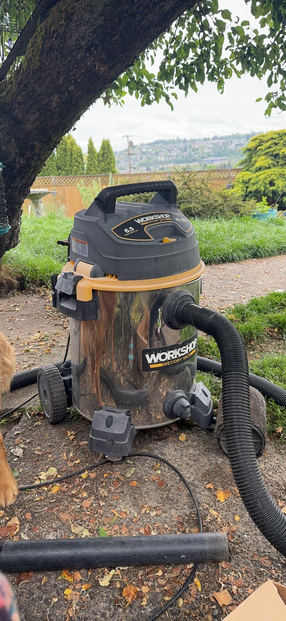 WORKSHOP Wet/Dry Vacs Shop Vacuum WS1600SS 16-Gallon 6.5 Peak HP Stainless Steel Wet Dry Vacuum Cleaner customer photo 1