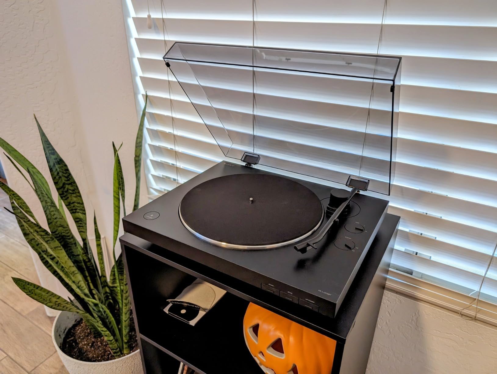 Sony PS-LX310BT Belt Drive Turntable: Fully Automatic Wireless Vinyl Record Player with Bluetooth and USB Output customer photo 1