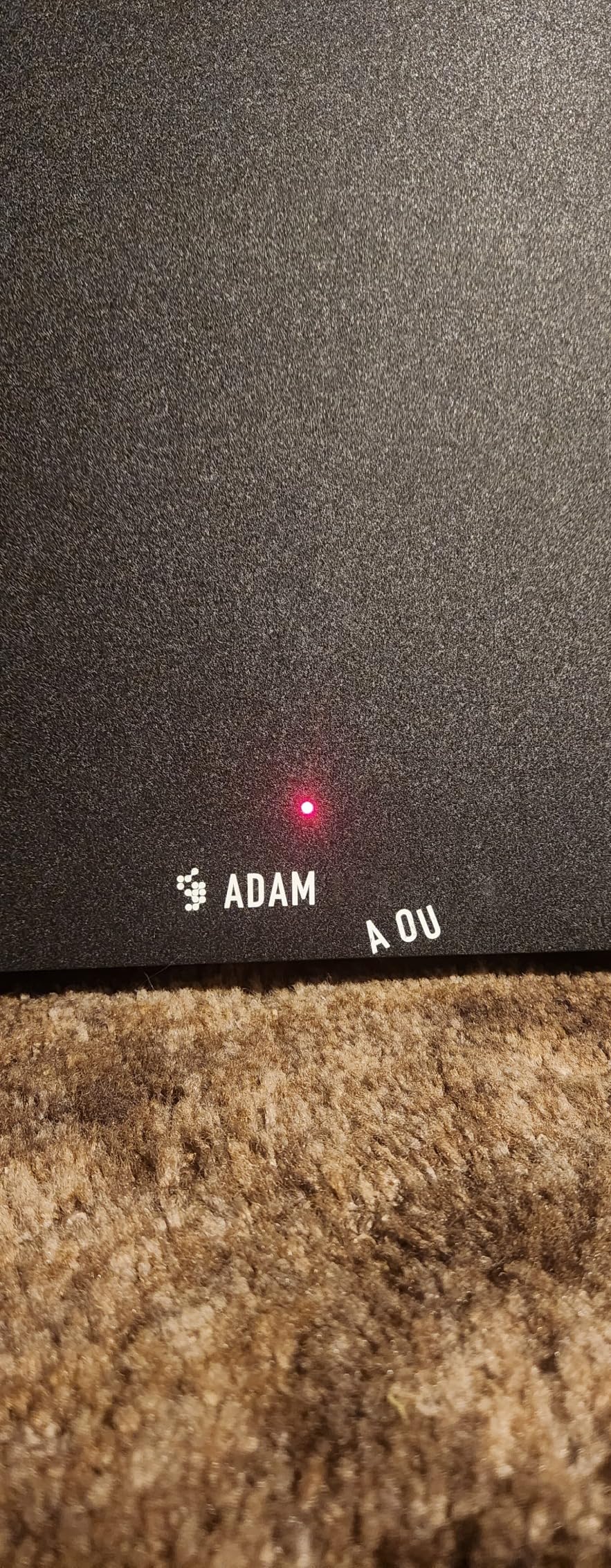 ADAM Audio T10S Studio Subwoofer for recording, mixing and mastering, Studio Quality Sound customer photo 2
