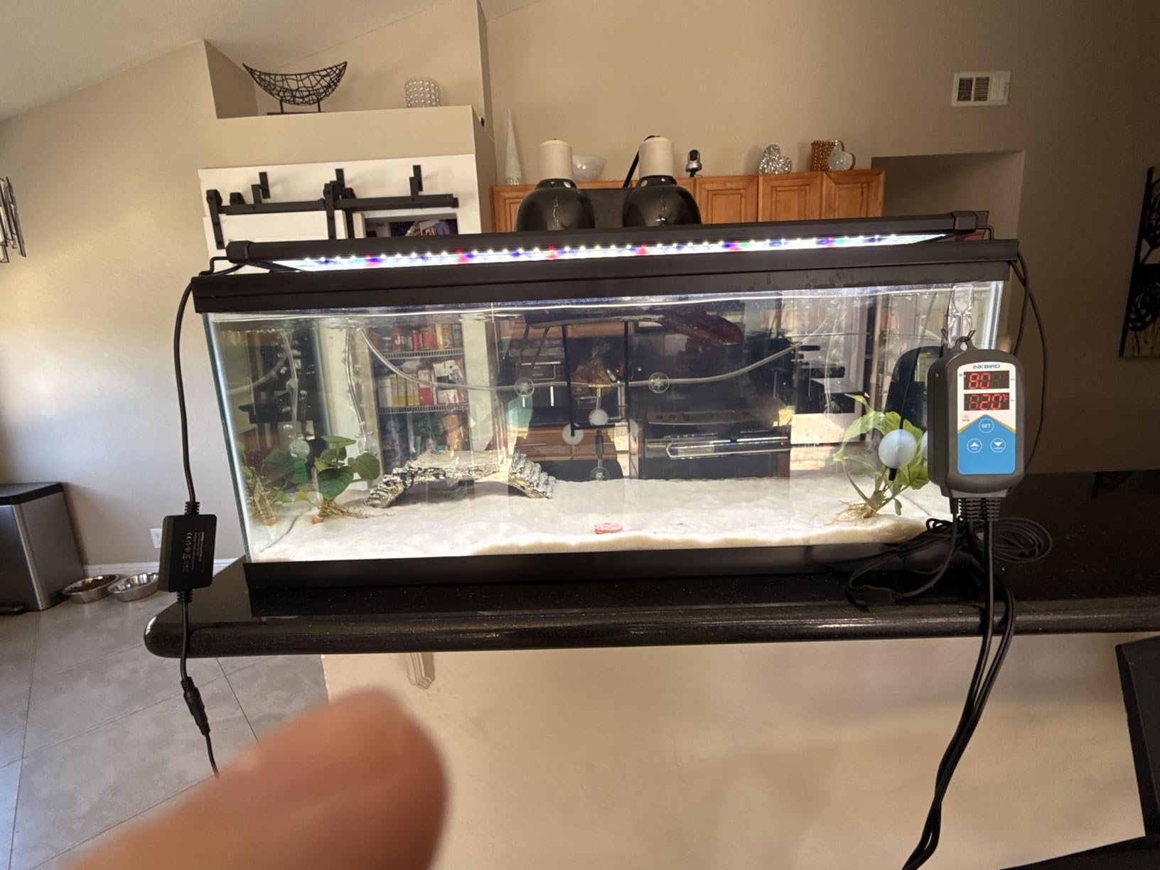 Inkbird ITC-306A WiFi Temperature Controller, Wi-Fi Aquarium Thermostat Heater Controller 120V~1200W Temperature Control with Two Probes only for Heater Aquarium Breeding Reptiles Hatching. customer photo 1