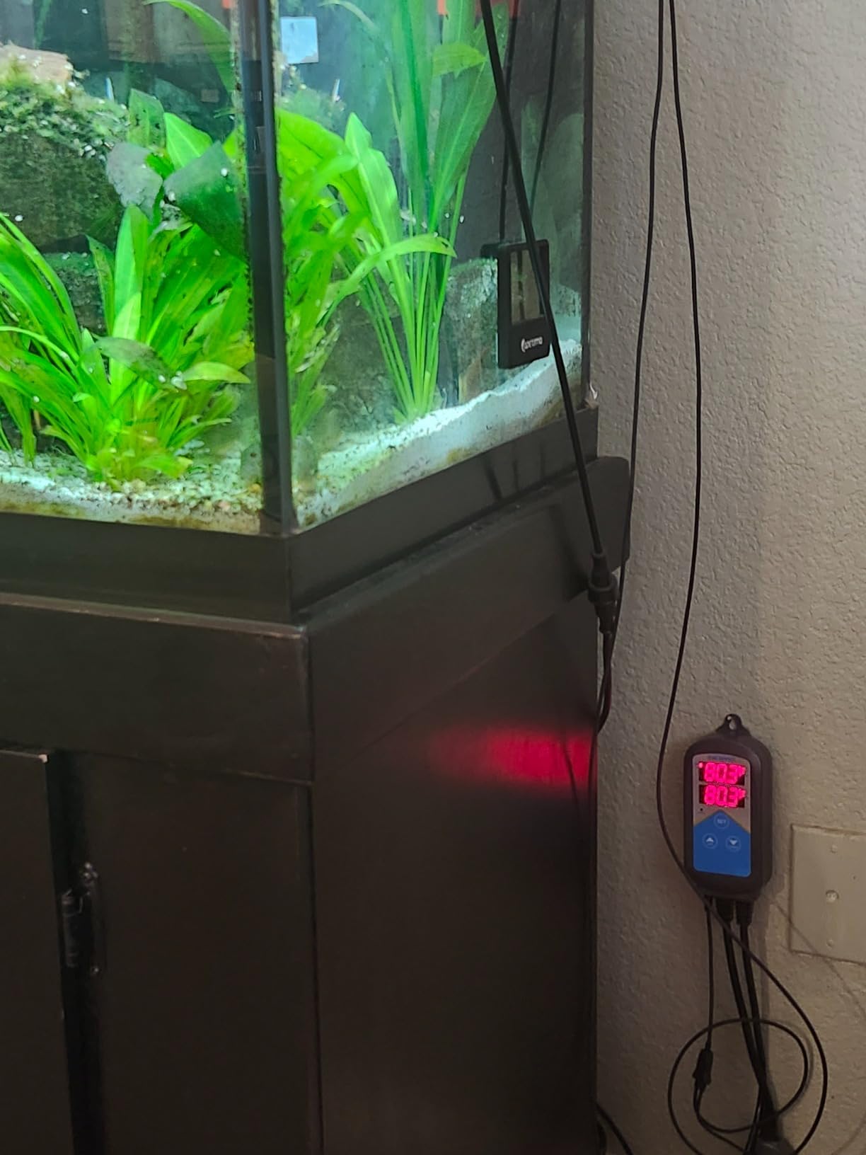 Inkbird ITC-306A WiFi Temperature Controller, Wi-Fi Aquarium Thermostat Heater Controller 120V~1200W Temperature Control with Two Probes only for Heater Aquarium Breeding Reptiles Hatching. customer photo 2