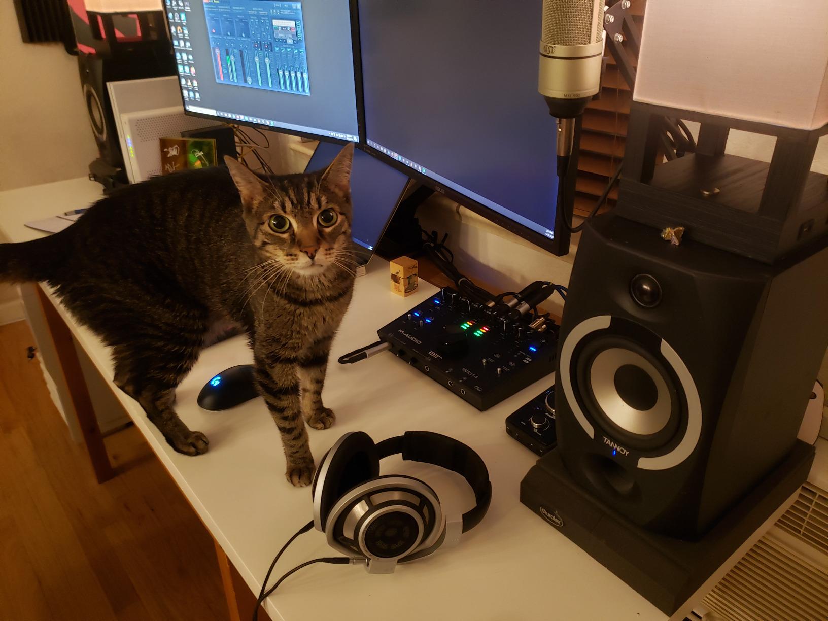 M-AUDIO AIR 192x14 USB-C Audio Interface for Studio Recording with 8 In and 4 Out, MIDI Connectivity, and Software from MPC Beats and Ableton Live Lite customer photo 1