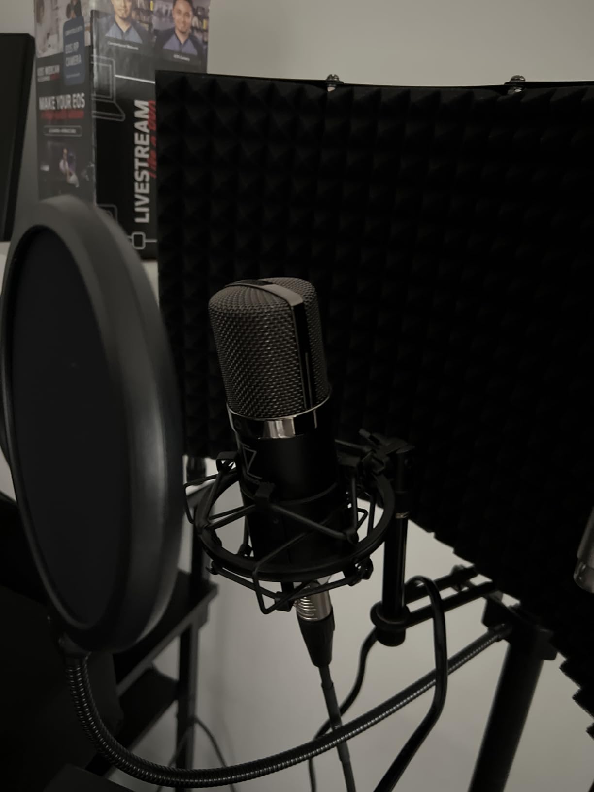 TZ Stellar X2 Vintage Large-Diaphragm Cardioid Condenser XLR Microphone customer photo 1
