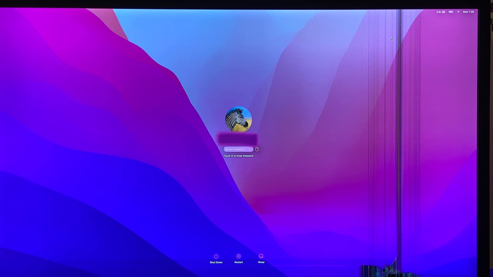LG Monitor 27MD5KL-B Ultrafine 27
