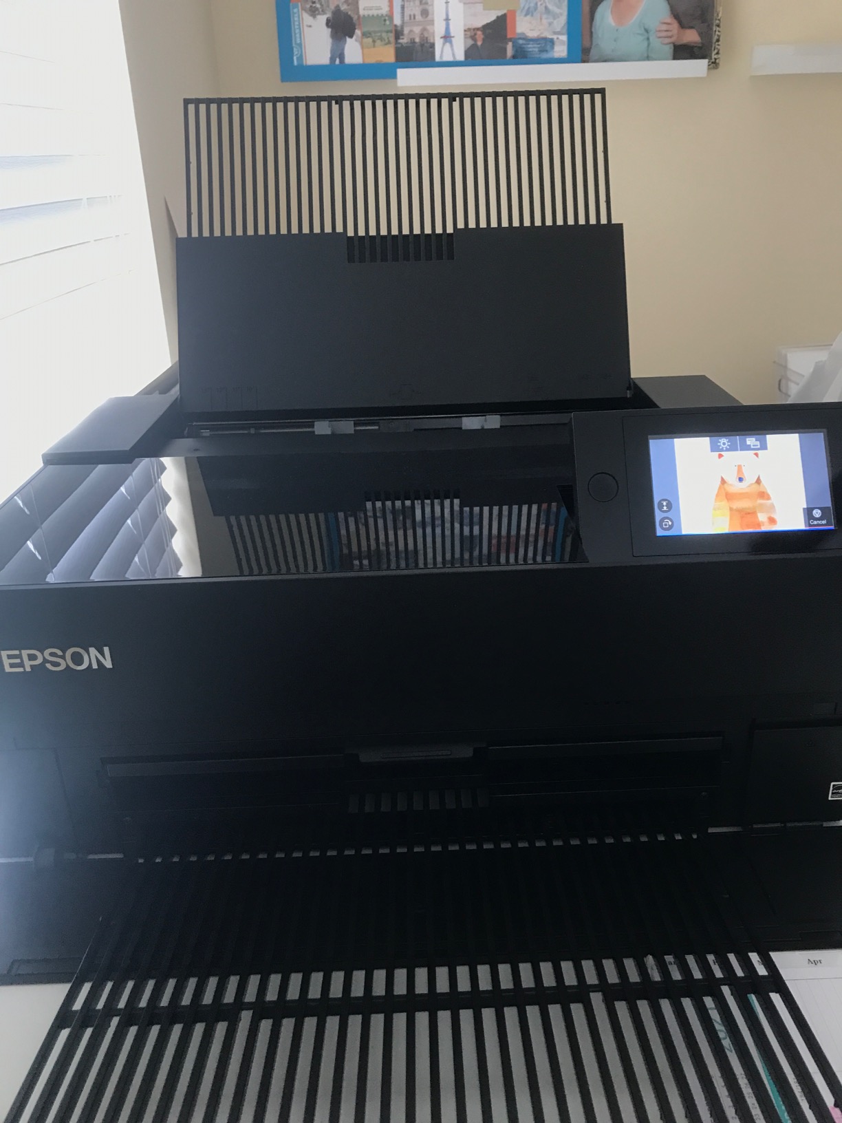 Epson SureColor P700 13-Inch Printer,Black customer photo 2