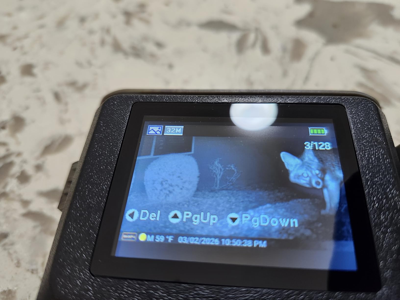 GardePro A3S Trail Camera (Non-Cellular, Non-WiFi), Enhanced Low-Light Performance, 64MP Photo & 1296P HD Video, 0.1s Trigger, 100ft No-Glow Night Vision, Motion Activated Wildlife Camera customer photo 1