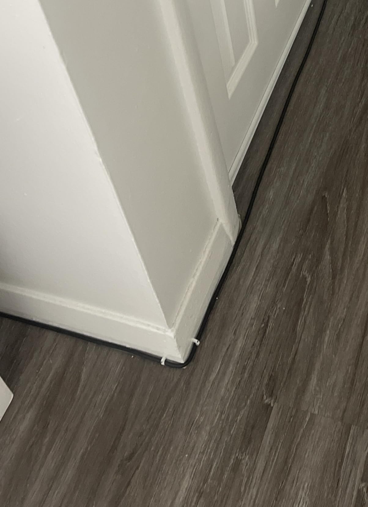 Cat 8 Ethernet Cable 100ft Shielded, Indoor&Outdoor, Heavy Duty High Speed Direct Burial 26AWG Cat8 Network Wire, 40Gbps 2000Mhz SFTP Patch Cord, In Wall&Weatherproof RJ45 Cable for Router/Modem/Xbox customer photo 1