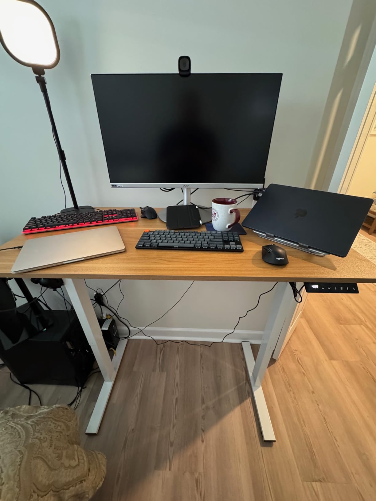 FLEXISPOT EN1 One-Piece Standing Desk, Electric Adjustable with 4 Memory Presets, 176 LBS Capacity, Stable & Quiet, Seamless Desktop for Home Office & Dual Monitors, 48