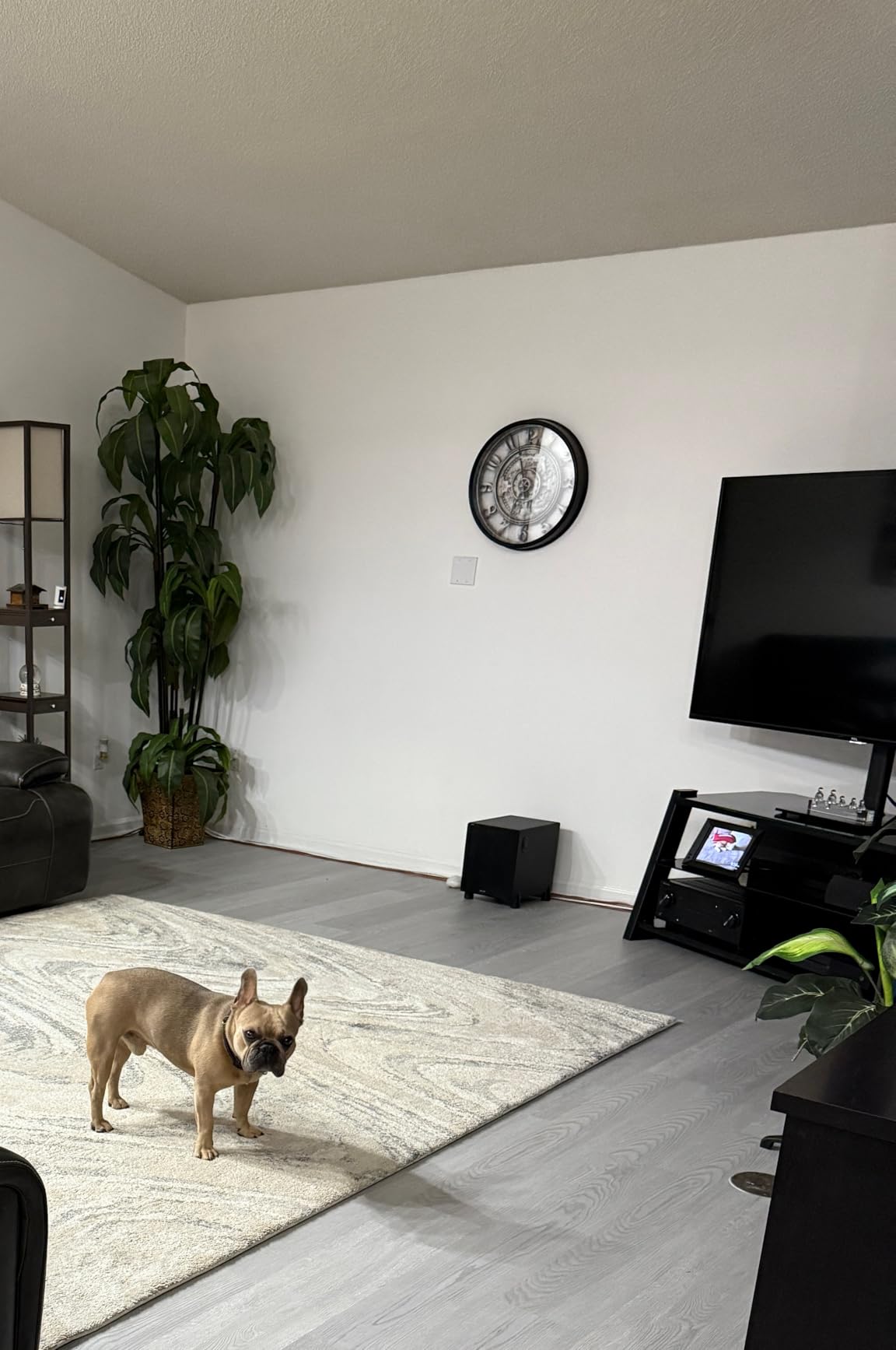 EVEO Cable Management Under Desk Kit (6 Units) - Under Desk Cable Management Cord Hider, Cable Hider Cord Management, Cable Organizer, Cable Raceway | Self-Adhesive 96'' J Channel 6X16 - Black customer photo 2