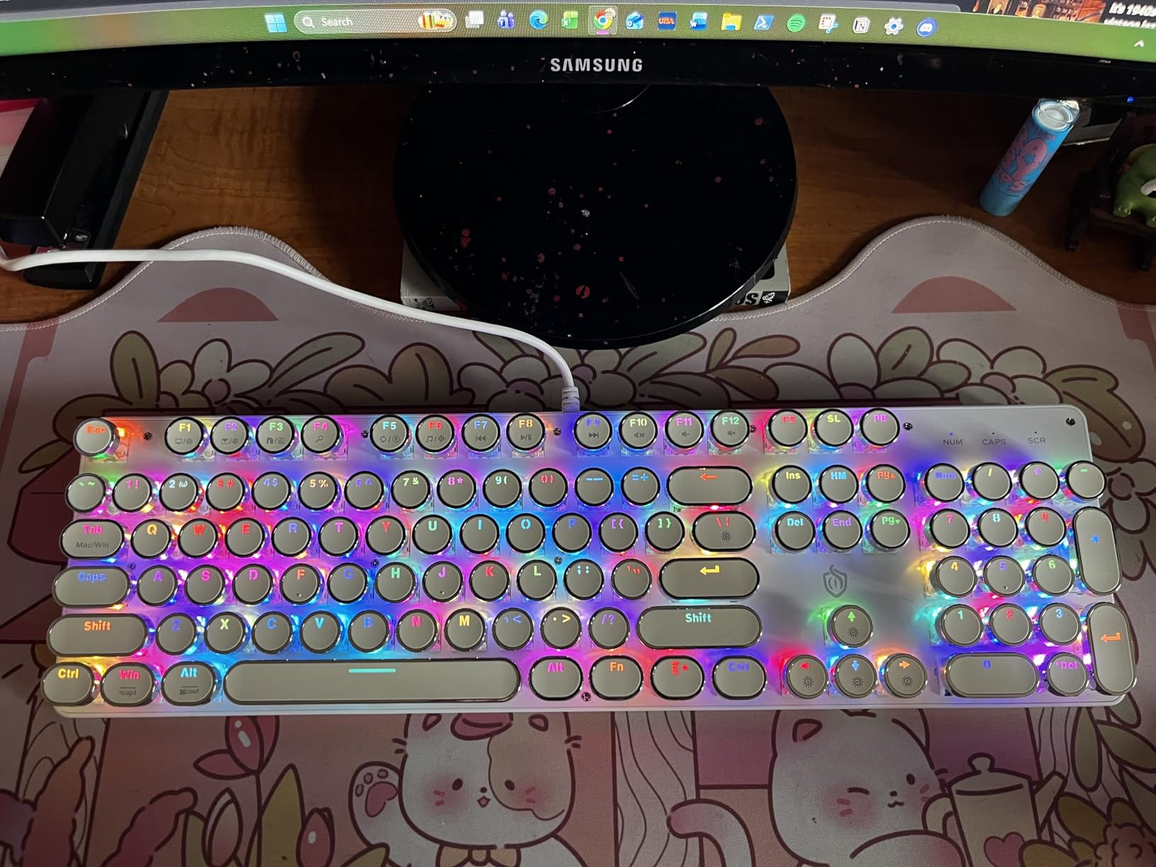 YSCP Typewriter Style Mechanical Gaming Keyboard RGB Backlit Wired with Blue Switch Retro Round Keycap 104 Keys Keyboard (R-White) customer photo 1