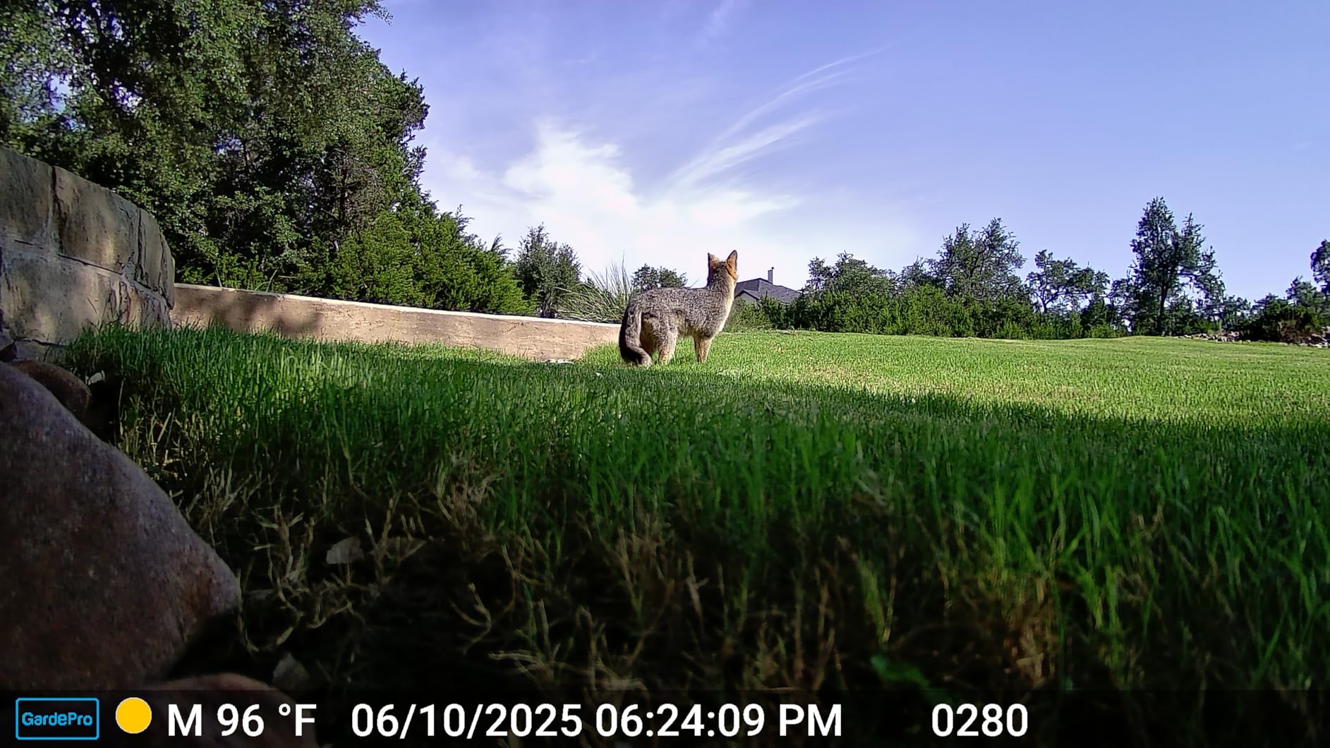 GardePro E6 WiFi Trail Camera (Non-Cellular), Stable WiFi with External Antenna, On-Site App Viewing, 64MP 1296P HD, No-Glow Night Vision, Motion Activated Waterproof Game Camera customer photo 2