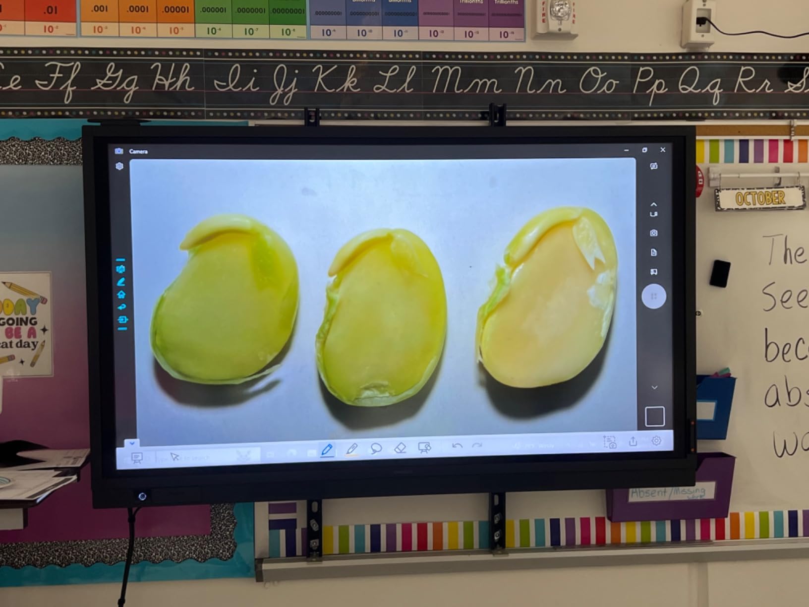 INSWAN INS-2 4K USB Document Camera - 13MP, Dual Auto-Focus, LED Light and Microphone, Plug & Play, Mac, Windows, iPad, Chromebook, A3 Capture customer photo 1