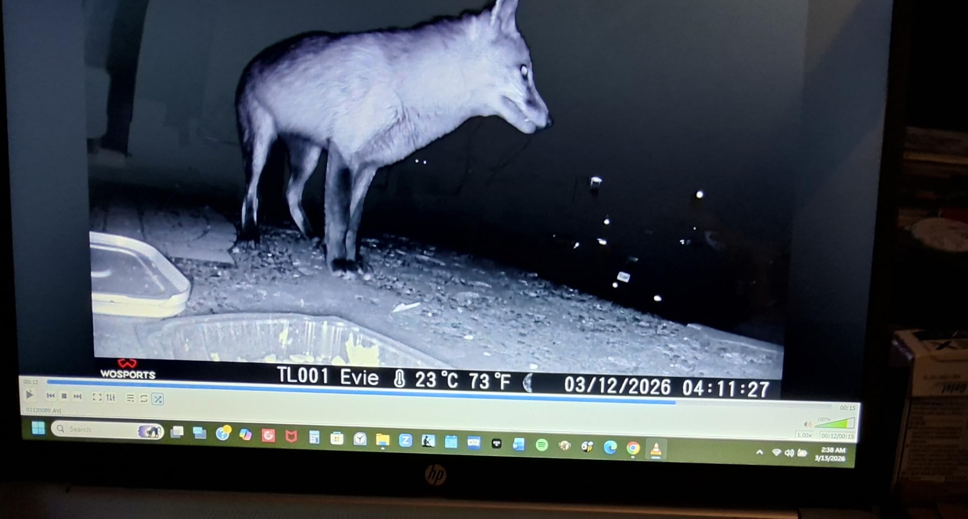 WOSPORTS Trail Camera, 56MP 4K 0.2S Trigger Motion Activated, Game Camera with Night Vision IP66 Waterproof 2.0''LCD 120°Wide Trail Cam Lens for Outdoor Scouting Wildlife Monitoring customer photo 1