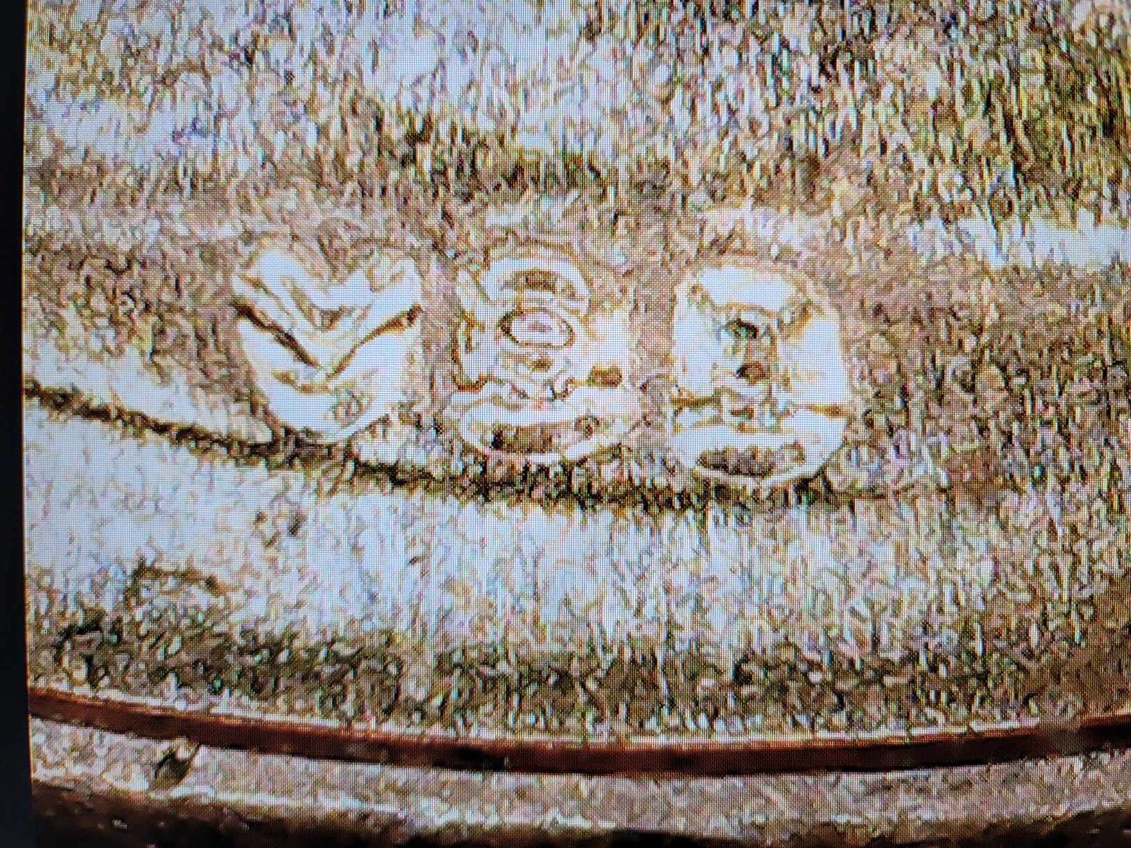 USB Microscope Camera with Stand & Carrying Case, Cainda Digital Microscope Compatible with Android Windows Linux Mac, Portable Magnifier Camera for Kids Students Adults(Not for iPhone/iPad) customer photo 2