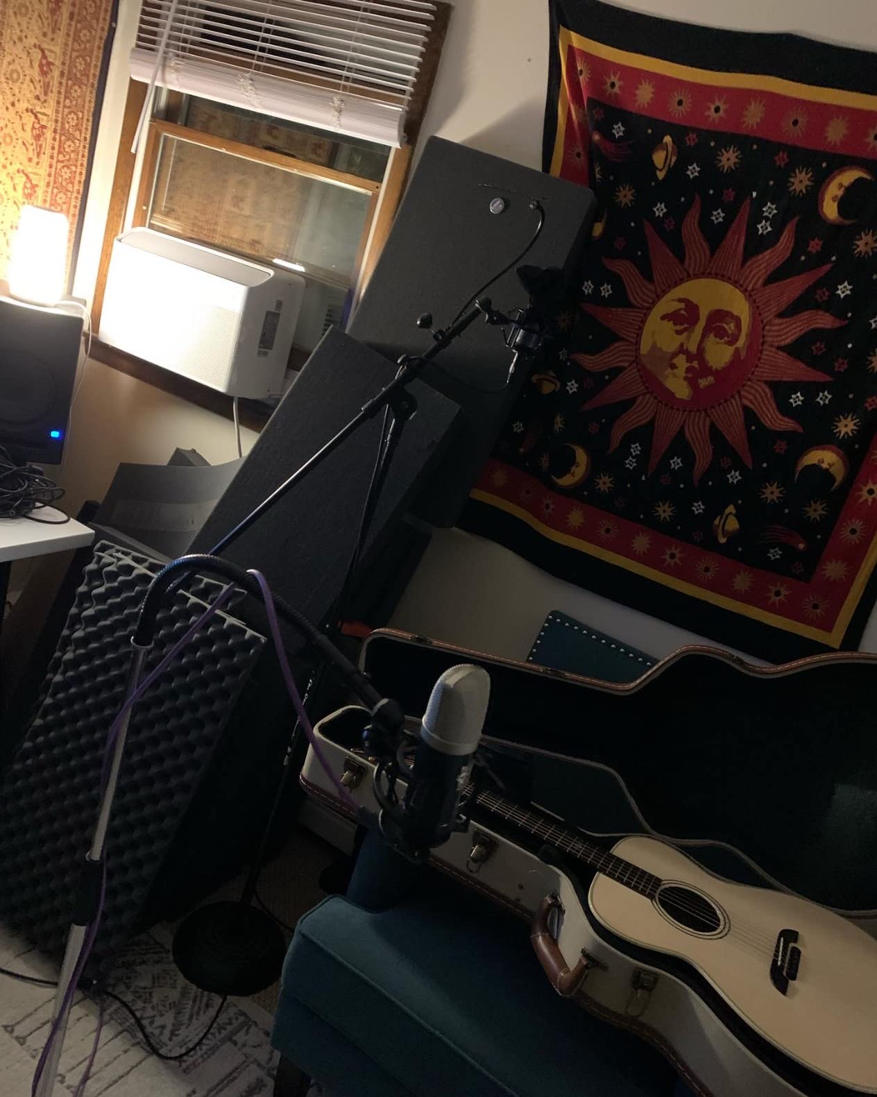 Roswell Pro Audio Mini K67x 34mm Professional Studio XLR Large Diaphragm Condenser Microphone customer photo 1