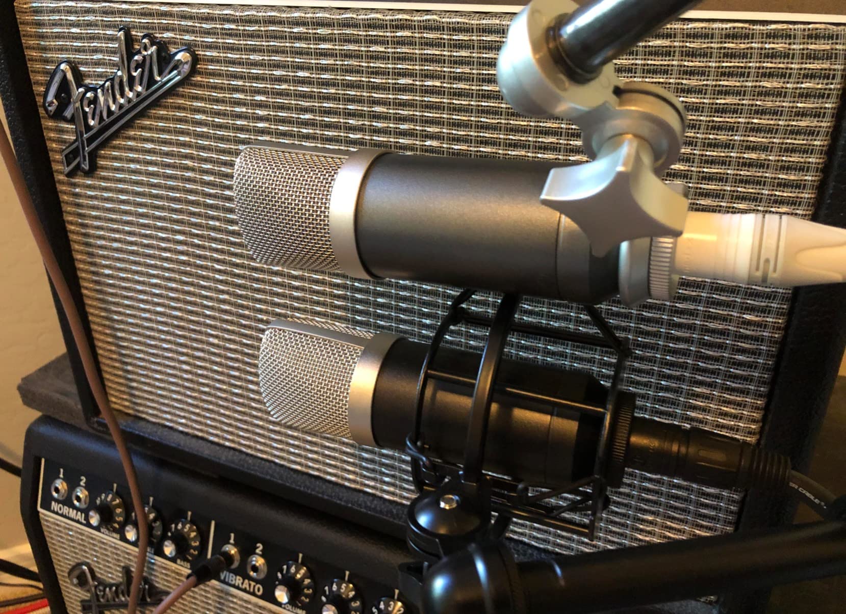 Roswell Pro Audio Mini K67x 34mm Professional Studio XLR Large Diaphragm Condenser Microphone customer photo 2
