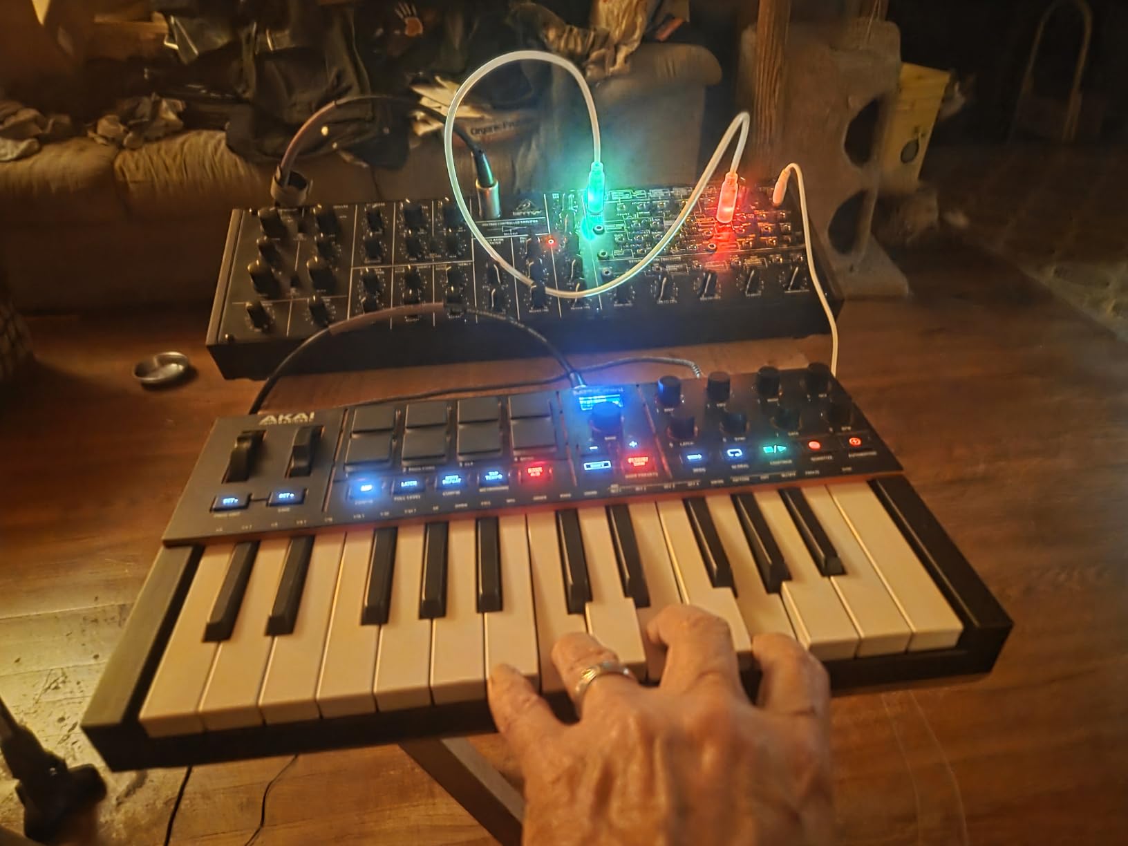 Heinakroon LED CV Patch Cables Eurorack Modular Test Leads, 5-Pack (23.6