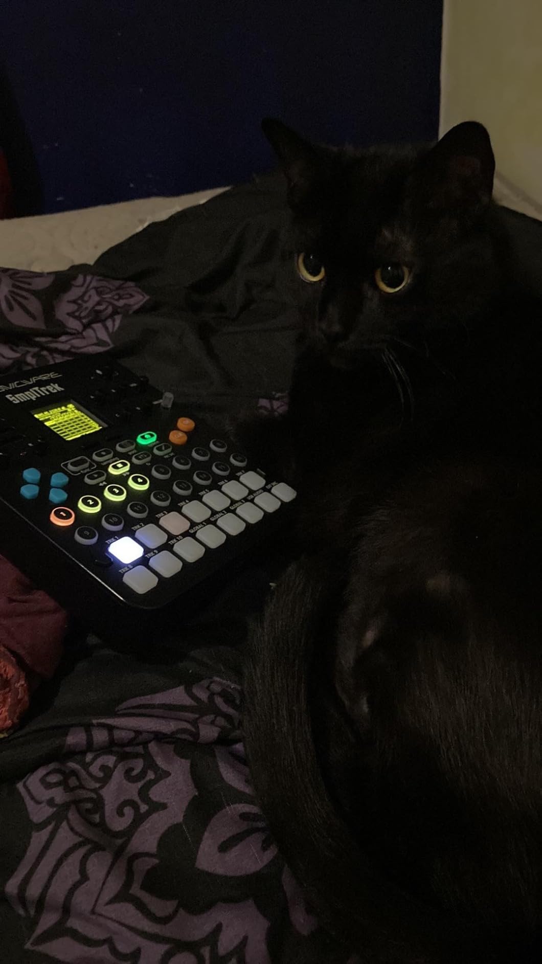 Sonicware SmplTrek [Portable Production Sampler] Compact, Lightweight and Battery Powered Drum Machine & Sampler with Built-in Mic & Speaker customer photo 1