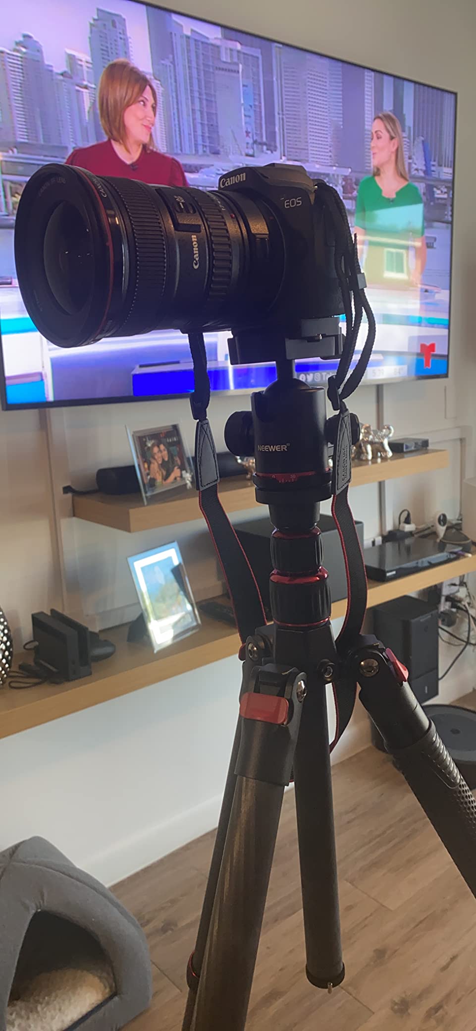 NEEWER Upgraded 80.7