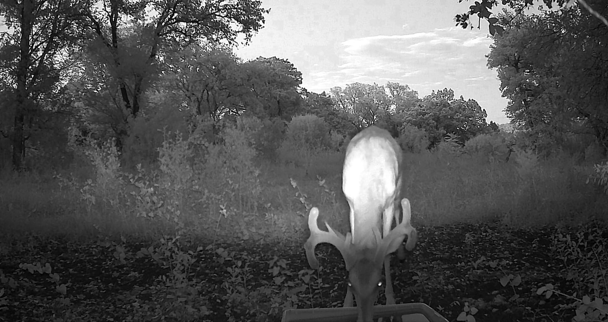 Trail Camera - 4K 48MP WiFi Game Camera with Night Vision, 0.05s Trigger Motion Activated Camera, IP66 Waterproof, 130 Wide-Angle Cell Phone App No Glow Infrared LEDs for Outdoor Wildlife customer photo 1