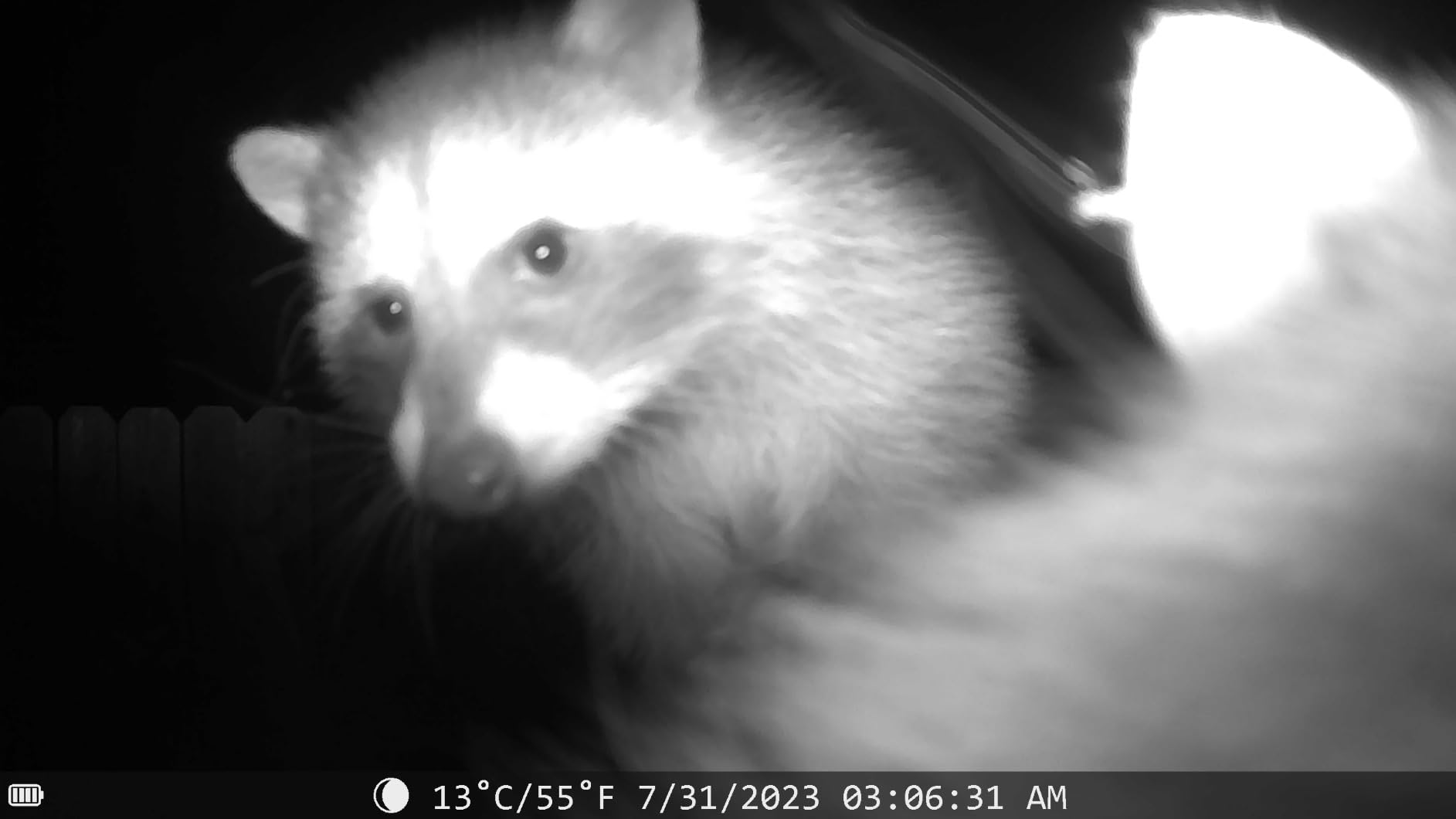 Trail Camera - 4K 48MP WiFi Game Camera with Night Vision, 0.05s Trigger Motion Activated Camera, IP66 Waterproof, 130 Wide-Angle Cell Phone App No Glow Infrared LEDs for Outdoor Wildlife customer photo 2