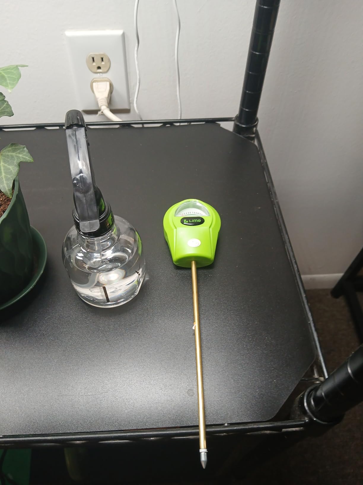 GROWIT Plant Moisture Meter - Accurately Tells You When to Water Your Plants - 26cm, No Battery Needed customer photo 1