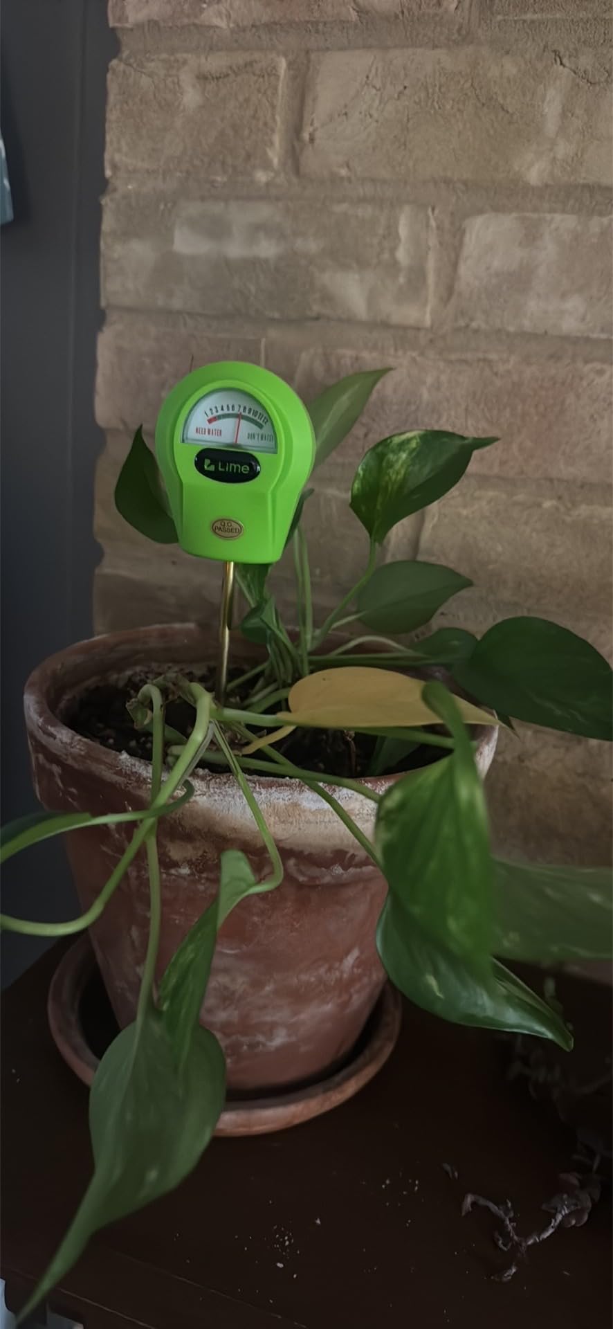 GROWIT Plant Moisture Meter - Accurately Tells You When to Water Your Plants - 26cm, No Battery Needed customer photo 2