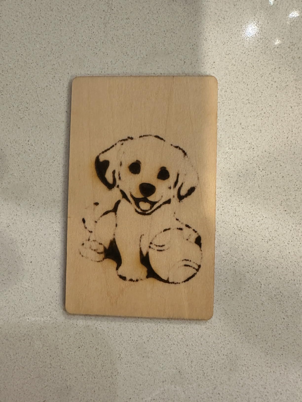 Aufero Laser 1 Laser Engraver, 5W Long Focus Diode Laser Engraver, Laser Wood Cutter and Engraver Machine, 7.1x7 inch Engraving Area, Beginner-Friendly Laser Engraving Machine customer photo 1