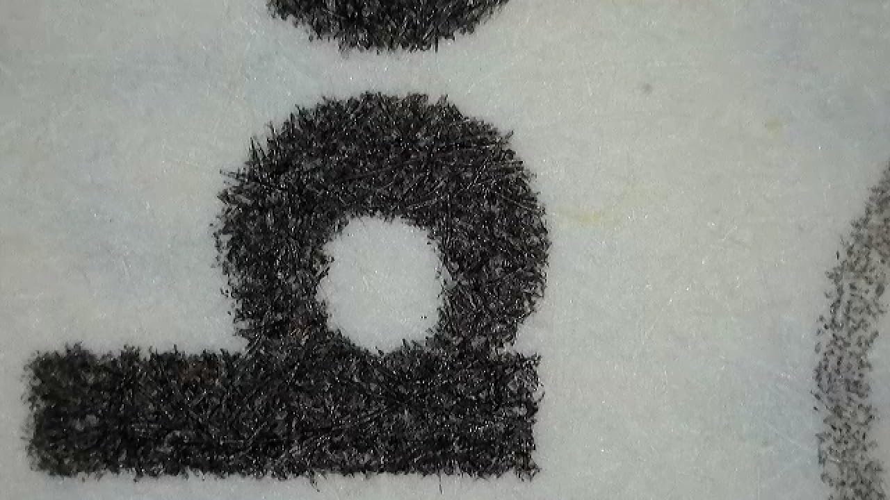 Jiusion WiFi USB Digital Handheld Microscope, 50 to 1000x Wireless Magnification Endoscope 4K 3840x2160P Camera 8 LEDs with Metal Stand for iPhone iPad Android Mac Windows Linux Chrome customer photo 2