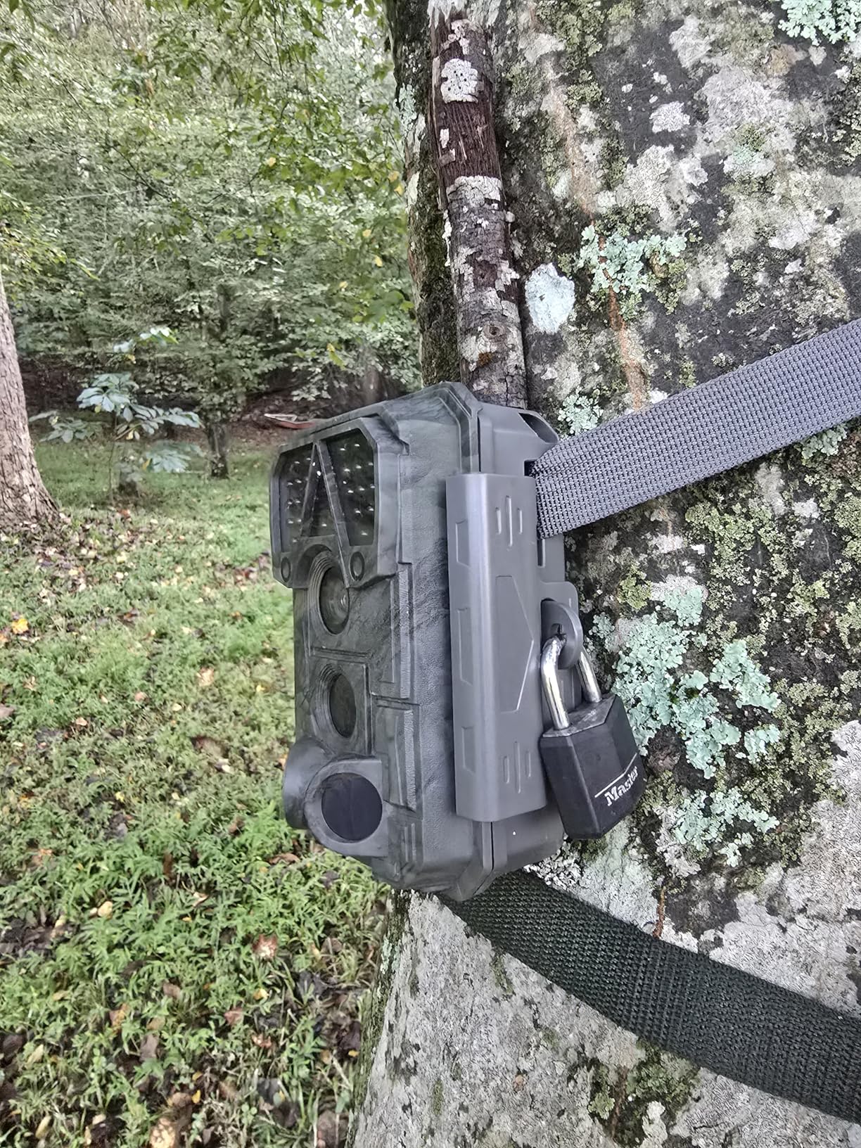 Meidase P70 (Non-Cellular, Non-WiFi) Trail Camera, 64MP 1296p, Game Cameras with No-Glow IR Night Vision, Motion Activated, Waterproof for Wildlife Deer Cams customer photo 2