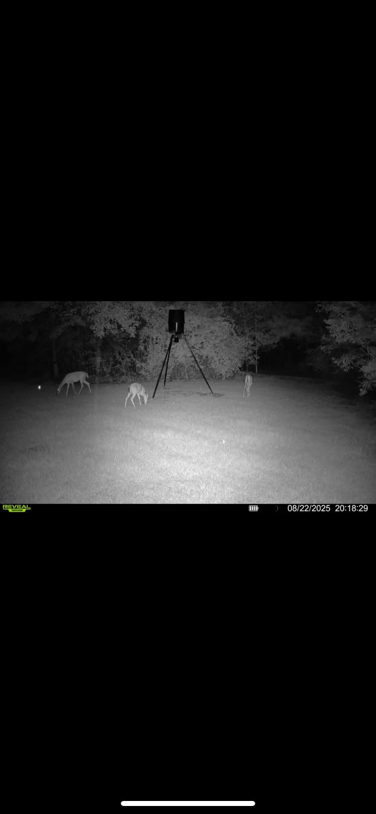 TACTACAM Reveal X Gen 3.0 Cellular Trail Camera: Auto Connect 4G LTE, 4K Photo, 1080p Video, Low-Glow IR Flash, No SD Card Needed, Long Battery Life customer photo 2