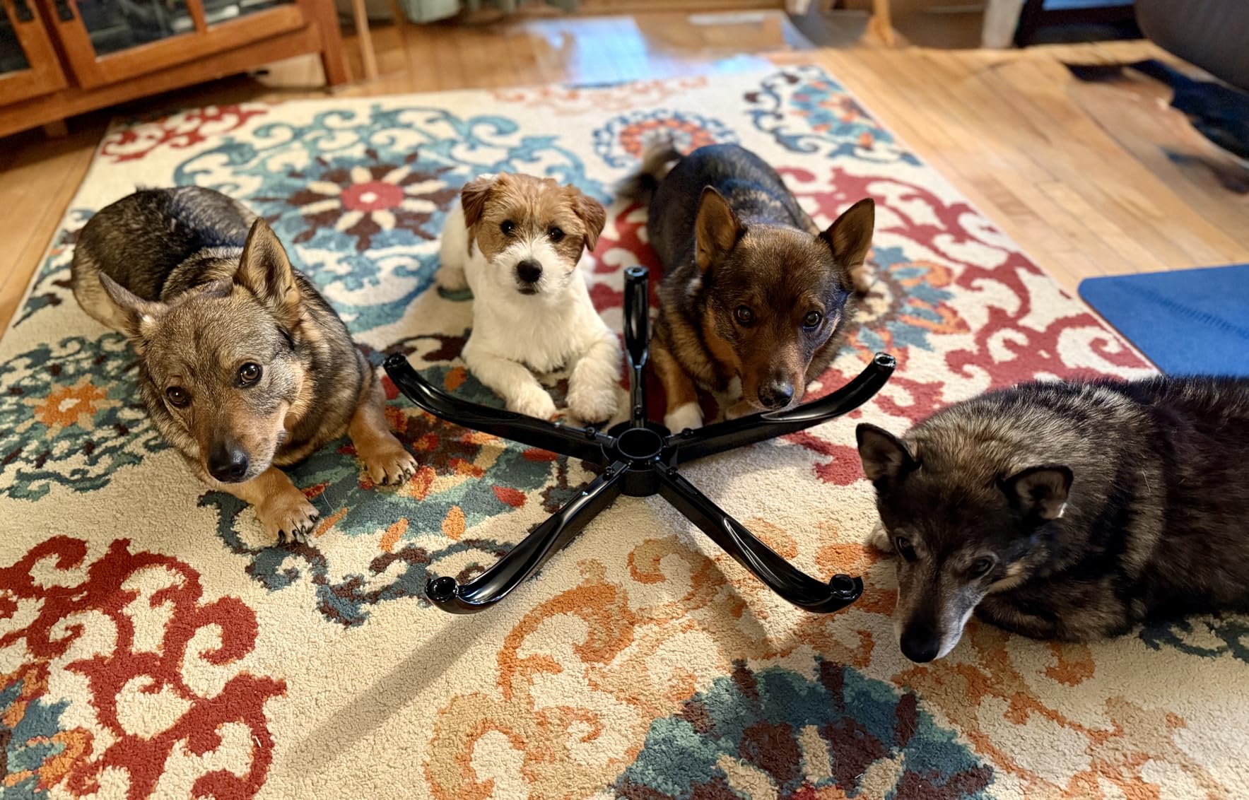 Brick Attic Drafting Chair with Backrest - Adjustable Foot Rest Rolling Stool with Wheels, PU Leather Swivel Stool for Office Spa Studio Lab Counter Salon Home Work Bar Kitchen Shop(Black) customer photo 2