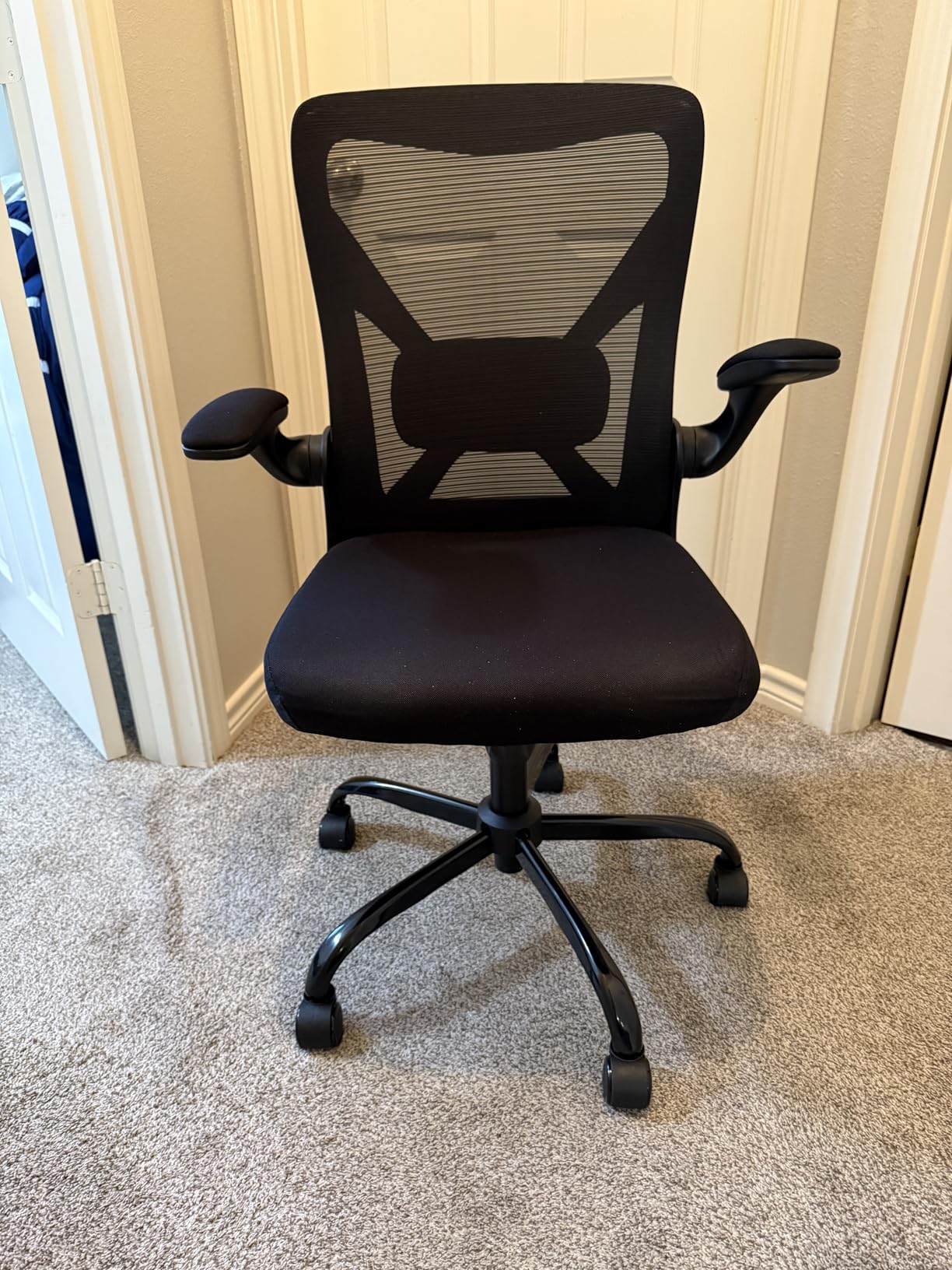 Ergalithic Ergonomic Office Chair - X-Shaped Computer Desk Chairs Comfy, Mesh High-Back Gaming Chair with Adjustable Lumbar Support customer photo 2