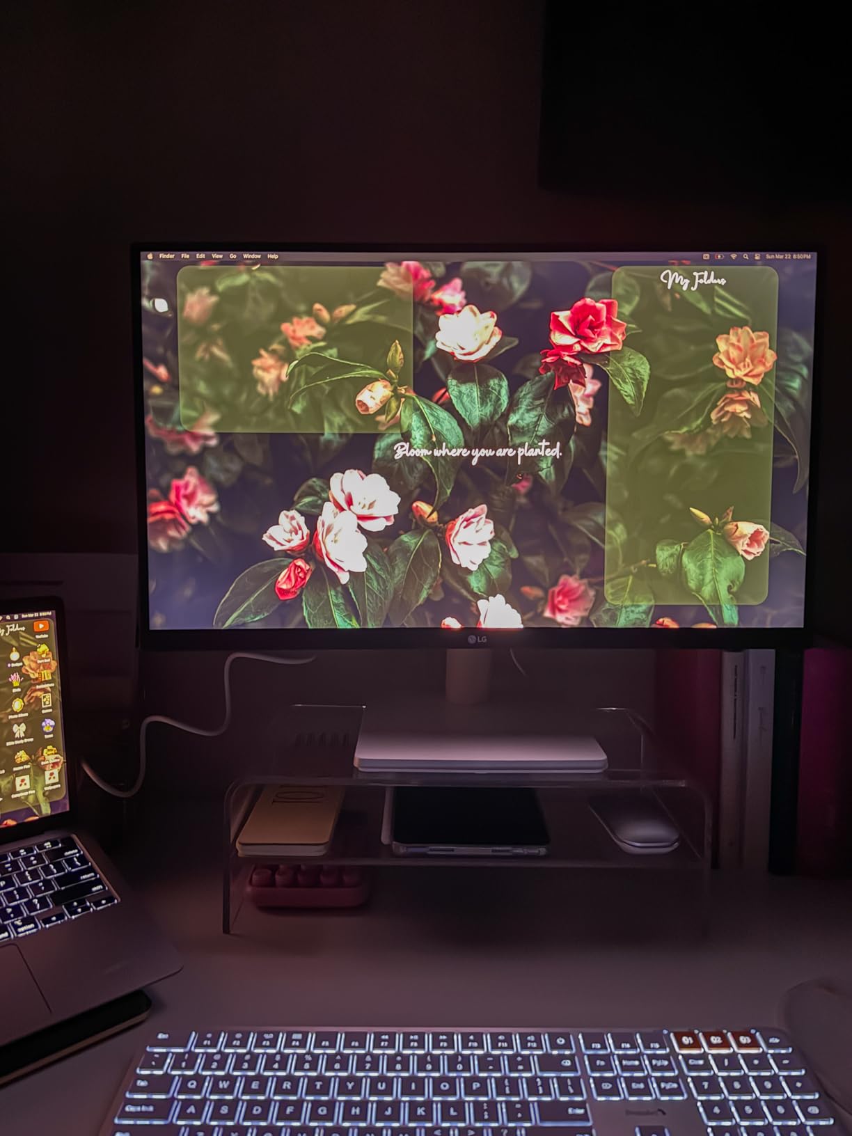 LG 27US500-W Ultrafine Monitor 27-Inch 4K UHD (3840x2160) HDR10 IPS Borderless Design Reader Mode Flicker Safe customer photo 1