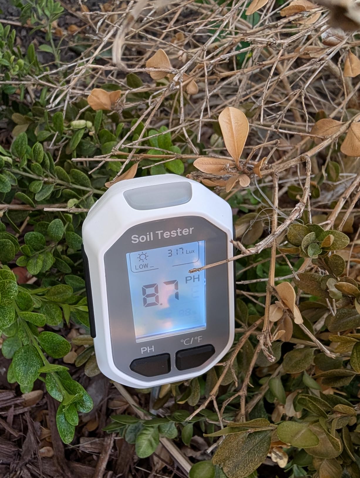 YAMRON 4-in-1 Soil Moisture Meter, Digital Plant Temperature/Soil Moisture Test & PH Meter/Sunlight Intensity, Backlight LCD Display for Gardening, Farming and Outdoor Plants customer photo 2