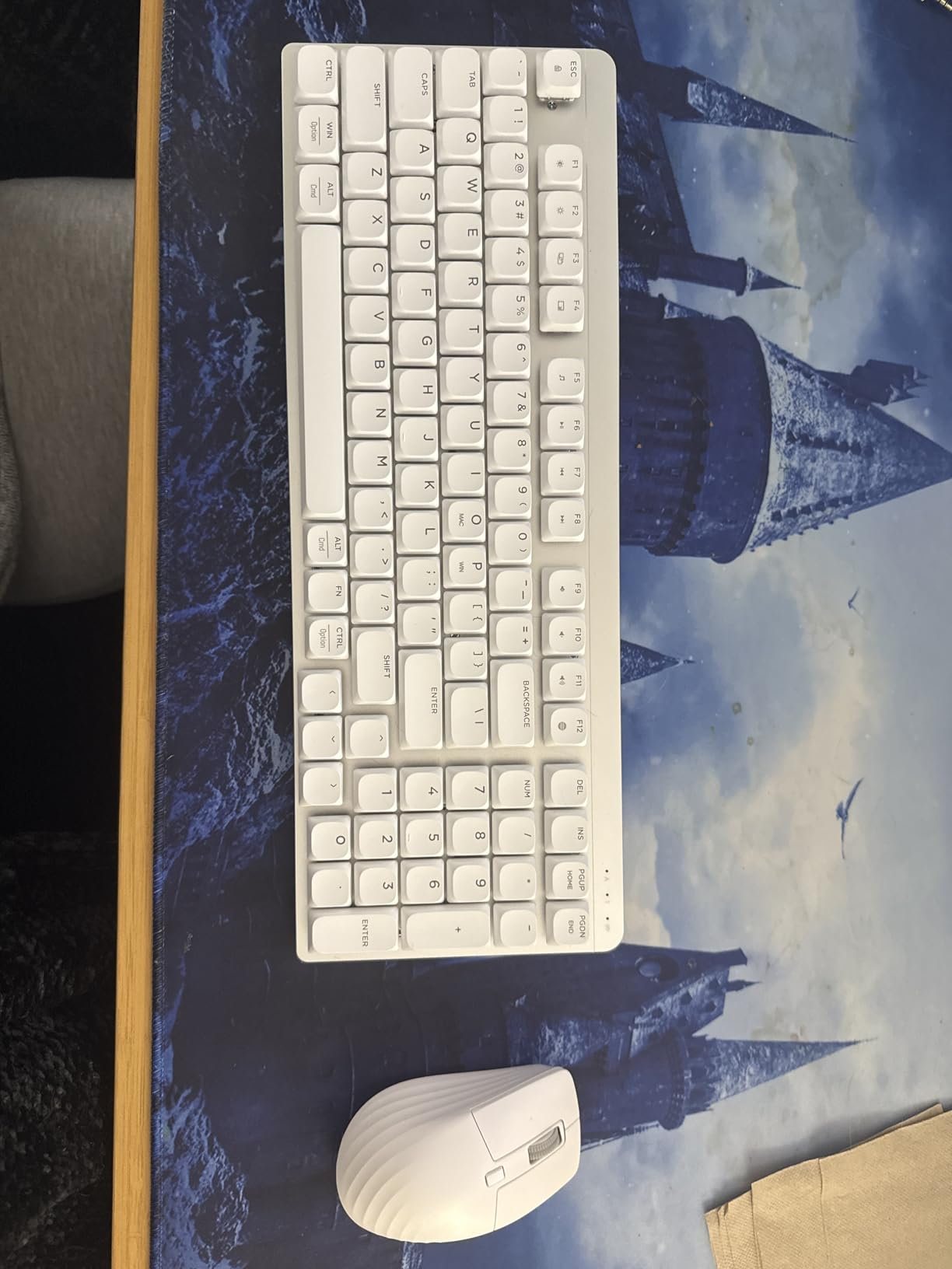 LeadsaiL Wireless Keyboard and Mouse Combo, 2.4Ghz Cordless Mechanical Keyboard and Silent Mouse for Business, Low-Profile Red Switch, 98-Key Compact Slim Keyboard for Windows/MacOS PC Laptop- Silver customer photo 2