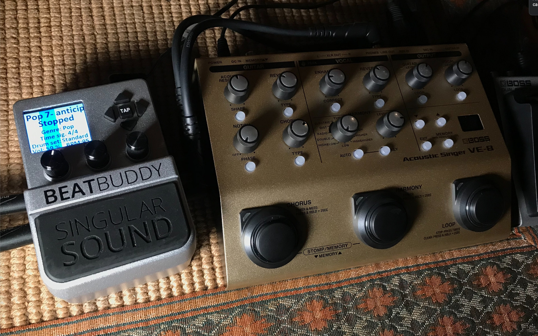 Singular Sound BeatBuddy 10th Anniversary Edition the Only Drum Machine That sounds Human and is Easy To Use customer photo 1