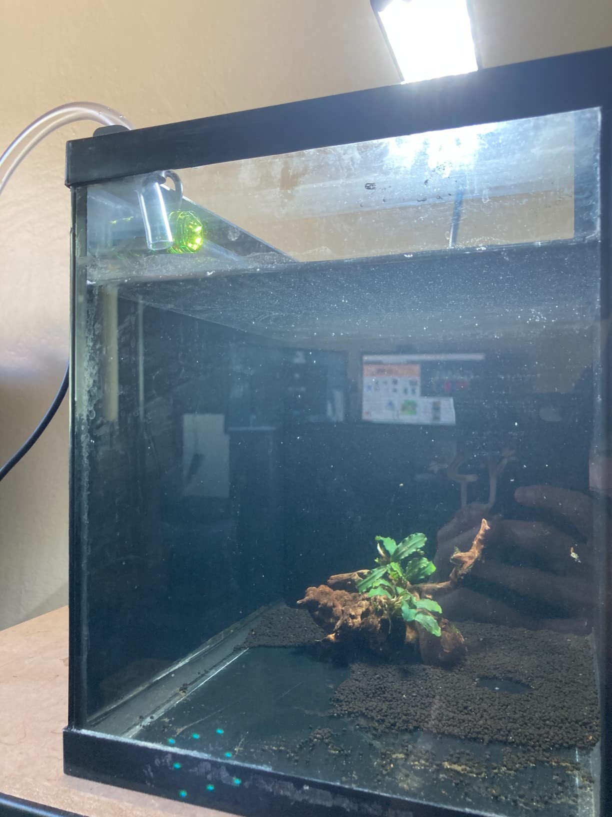 MagTool Auto Top Off System for Saltwater Aquarium, ATO Aquarium Auto Top Off with Dual Optical Sensor for Reef & Fresh Tanks -Green customer photo 2