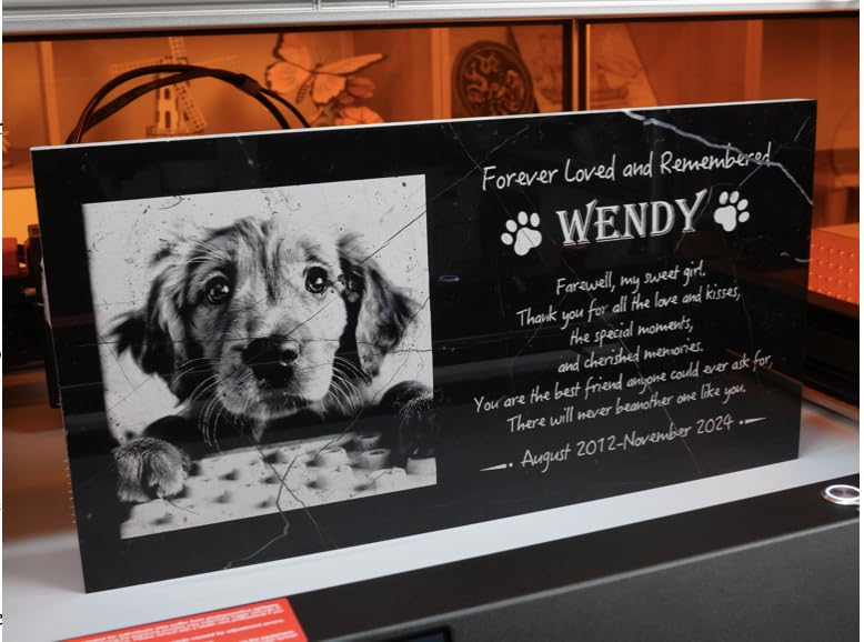 Algolaser 20W Laser Engraver Machine - Laser Cutter/Engraver with Air Assist Kit - Laser Engraving Machine with 3.5