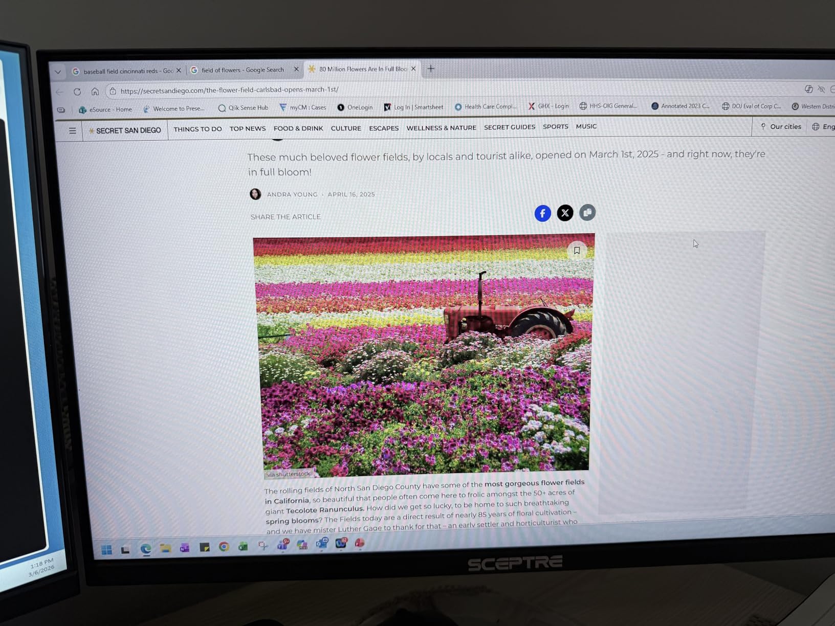 Sceptre New 24-inch Gaming Monitor 100Hz FreeSync 2X HDMI 1X DP Build-in Speakers, Machine Black 2026 (E248W-FW100T Series) customer photo 2