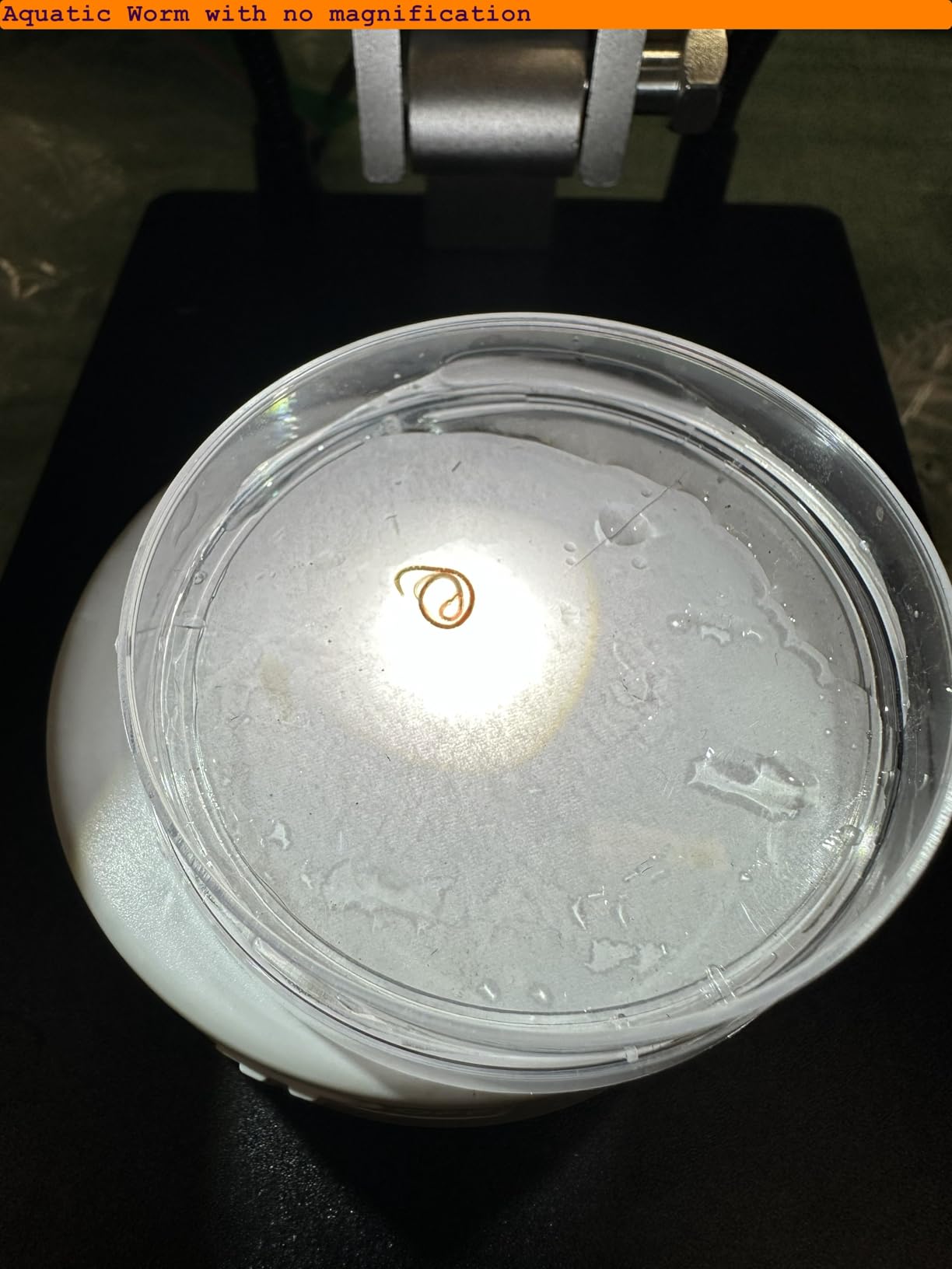 Elikliv 4K Soldering Digital Microscope: TL301 Max Magnetic 3-Lens Coin Microscope Magnifier with 10.1