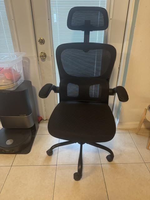 AreShark Office Chair Ergonomic Desk Chairs with Adjustable Lumbar Support & Headrest Hanger, High Back Breathable Mesh Chair customer photo 1
