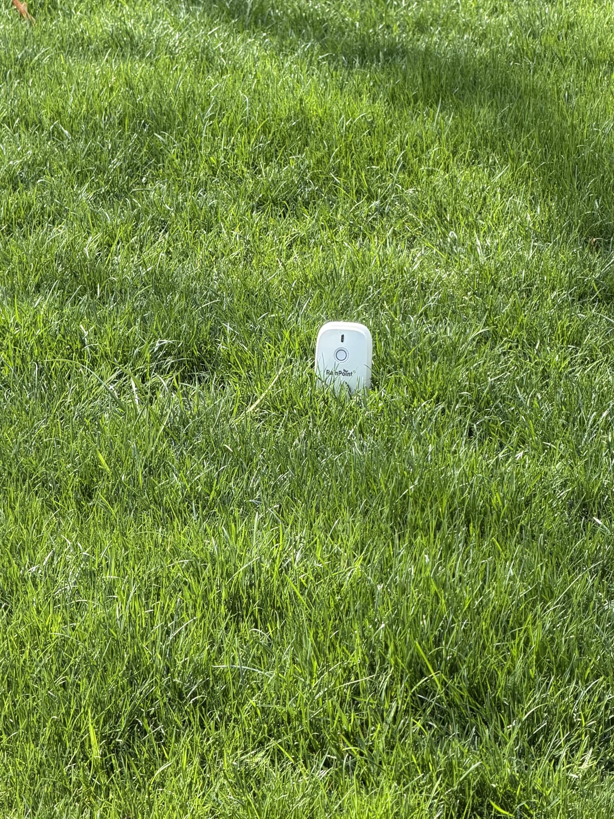 RainPoint 3-in-1 APP Remote Monitoring WiFi Soil Meter for Plant Indoor/Outdoor, Moisture/Air Temperature/Light Intensity Monitor and Custom Alert, IP66 Waterproof Wireless Sensor, 2.4GHz WiFi Support customer photo 1