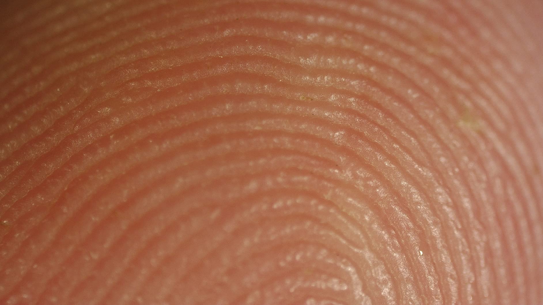 TOMLOV 3D Digital Soldering Microscope: Magnetic Dual Lens Micro Scope TM3K-3D Max For Adult, Coin Microscope with Flex Arm, 3K 10.1-Inch IPS Screen, HDMI/USB Output, Gooseneck Light, Repair Mat, 16GB customer photo 1