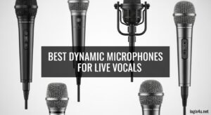 Best Dynamic Microphones for Live Vocals