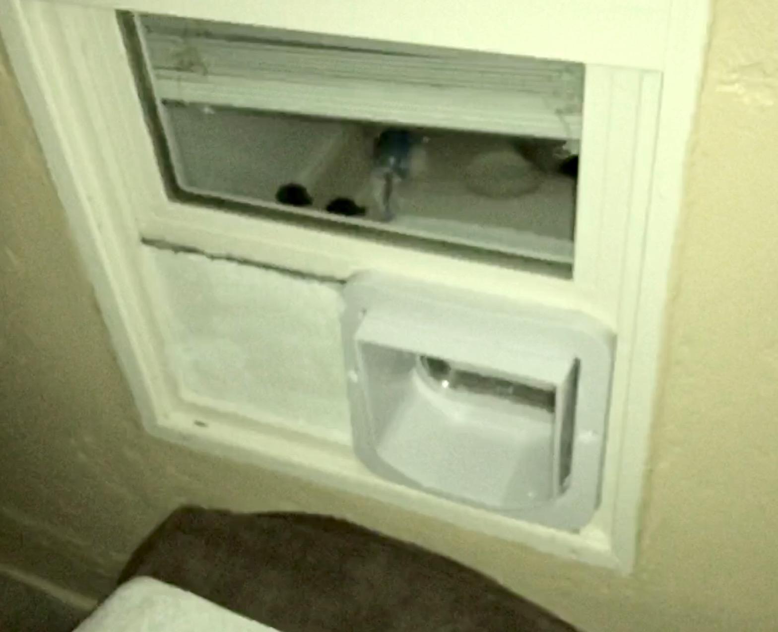 SureFlap Microchip Cat Flap (White) customer photo 1