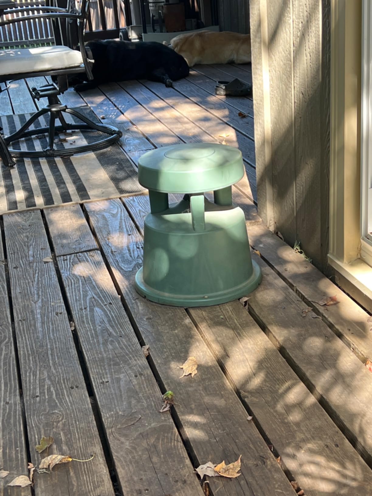 Bose Professional FreeSpace 360-P II In-Ground Landscape Speaker customer photo 1